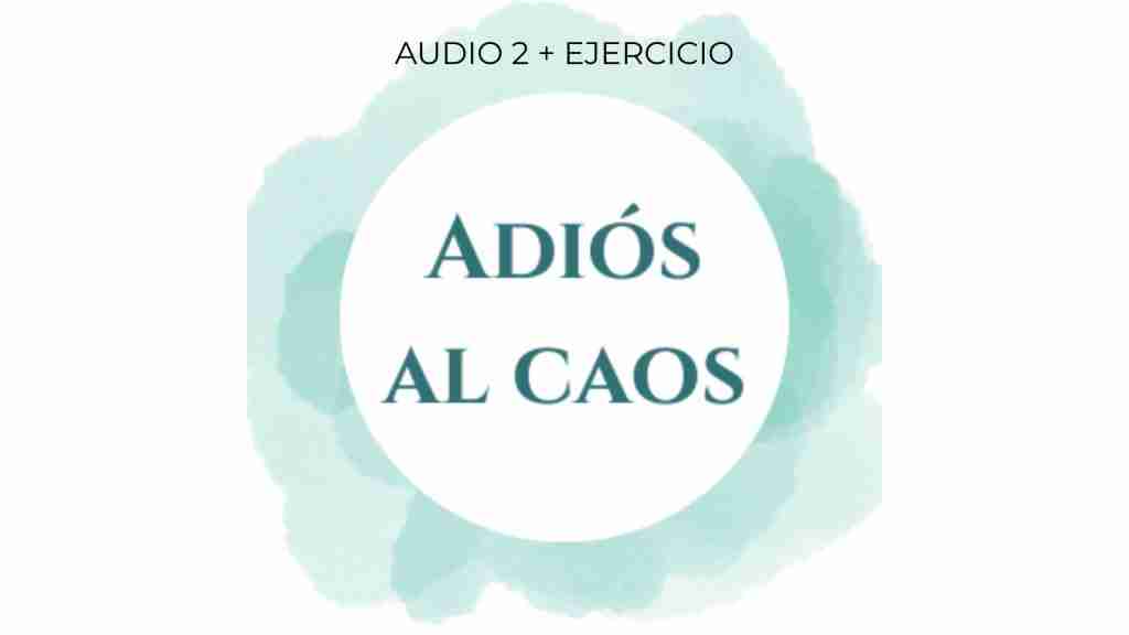 AUDIO 2 ADIOS AL CAOS